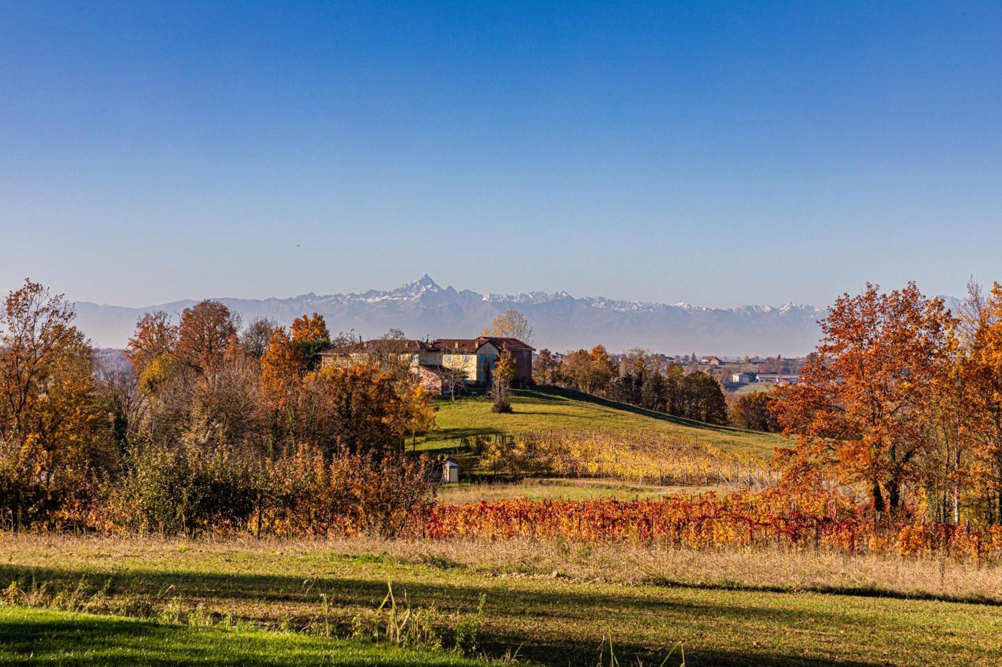 Villa Cascina Rueral Montafia Exterior foto